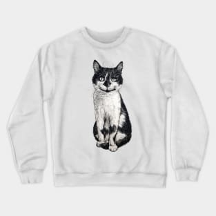 Ogie the cat Crewneck Sweatshirt